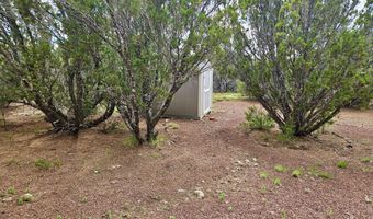 29 Co Rd 3199, Vernon, AZ 85940