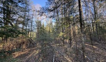 V/L Wildwood Road lot 1, Alger, MI 48610