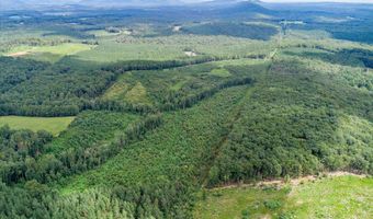 62- Acres Grandmas Hill Rd, Amherst, VA 24521