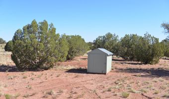 9234 N And 9218 Red Riv, Concho, AZ 85924