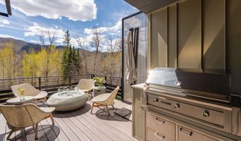 22856 Two Rivers Rd, Basalt, CO 81621