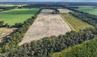 6351 2nd Ln, Bell, FL 32619