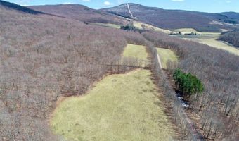 Lot 2 Doig Hollow Road, Andes, NY 13731