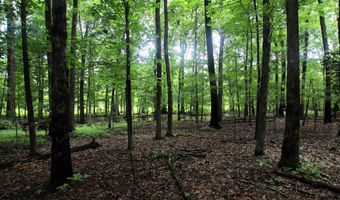 000 AVE 5 SW St, Atkins, AR 72823