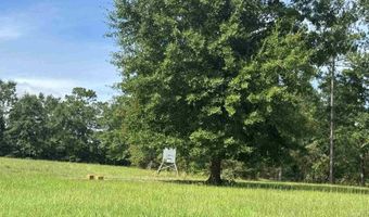 3470 Bell Fork Rd, Atmore, AL 36502