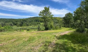 0 Woodland Hills Rd, Andes, NY 13731