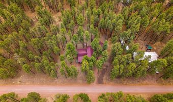 8 County Road 2267, Alpine, AZ 85920