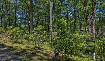 Tbd Big Bear Pen Road, Highlands, NC 28741