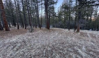 Bobcat Circle, Beatty, OR 97621