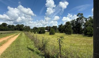 245 County Road 422, Abbeville, AL 36310