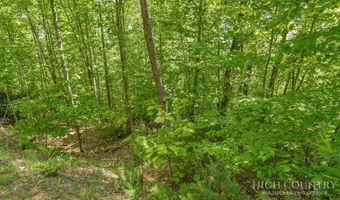 Daisy Ridge Road lot 36, Banner Elk, NC 28604