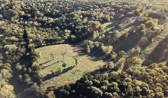 7776 State Hwy 39, Aurora, MO 65605