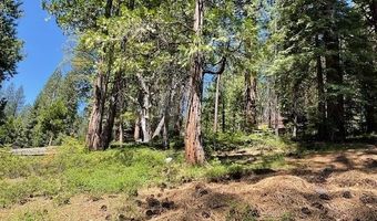 1474 Moran Rd, Arnold, CA 95223