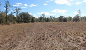 5015 NW County Road 274, Altha, FL 32421