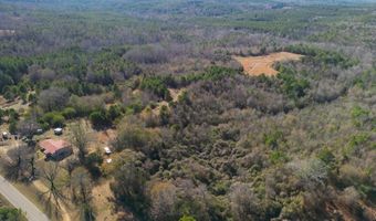 34655 Co Rd 49, Beaverton, AL 35544