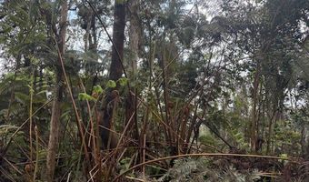 73-1818 HAO St, Kailua Kona, HI 96740