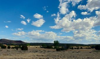 1 County Road 5088, Concho, AZ 85924