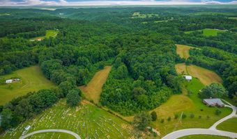 15 Acres Willow Grove Hwy, Allons, TN 38541