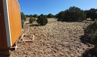 460 461 CR8301, Concho, AZ 85924