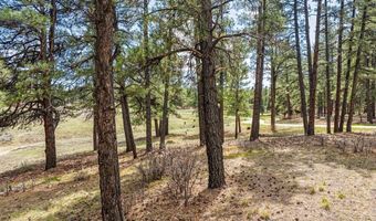 841 Beaver Creek Dr, Bayfield, CO 81122