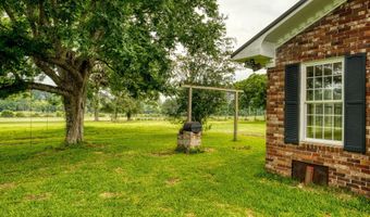 10886 Burtons Ferry Hwy, Allendale, SC 29810