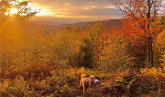 2192 Davis Hollow Rd, Andes, NY 13731