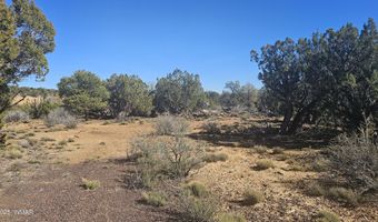 4 County Rd, Concho, AZ 85924