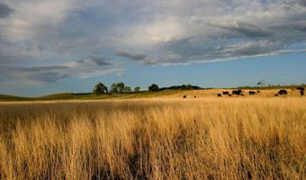 77 Sand Creek Ranch Rd, Buffalo, WY 82834