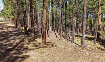 11 County Road 2135, Alpine, AZ 85920