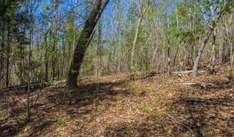 5508 Sealy Ann Mountain Rd, Adger, AL 35006
