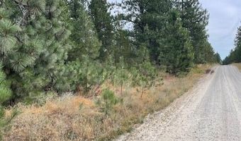 Lot 4 Sheep Springs Rd, Athol, ID 83801