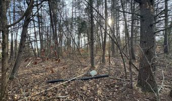 Watt Abbitt Road, Appomattox, VA 24522