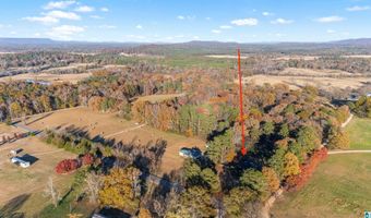1790 RAY WYATT Rd, Ashville, AL 35953