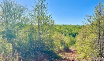 LANDFILL ROAD lot 1, Ashland, AL 36251