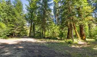 McKenzie River Dr 1800, Blue River, OR 97413