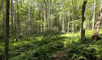 154 Lang Rd, Accord, NY 12404