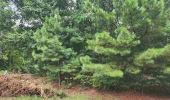HAYES Rd, Arlington, TN 38002