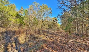 Coker Drive, Atkins, AR 72823