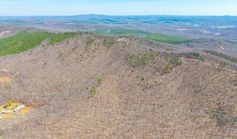Larkin Mountain, Amherst, VA 24521