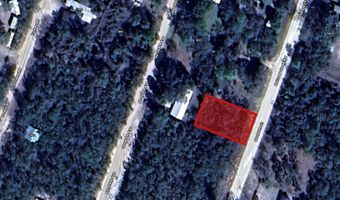 SE 309TH COURT Lot 8, Altoona, FL 32702