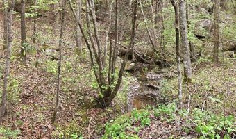 2058 COOSA COUNTY ROAD 91, Alexander City, AL 35010