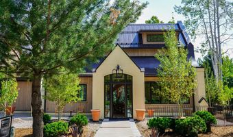 502 N 6th St, Aspen, CO 81611