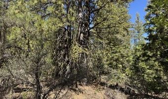 Horned Owl Lane, Bonanza, OR 97623