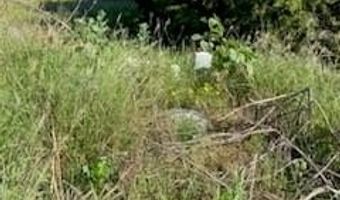 4089 County Road 233, Hico, TX 76457