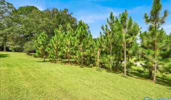 4975 Section Line Rd, Albertville, AL 35950
