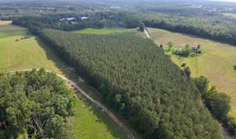 0 County Road 93, Anderson, AL 35610