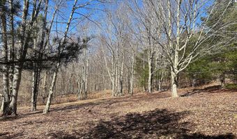 L21.1 Alder Pond Road, Andes, NY 13740