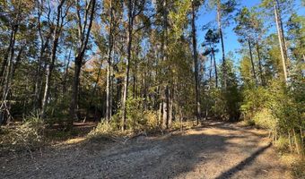 TBD Binnicker Bridge Road, Bamberg, SC 29003