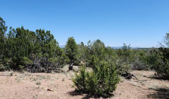 Lot 13 Ranch And Cattle, Ash Fork, AZ 86320