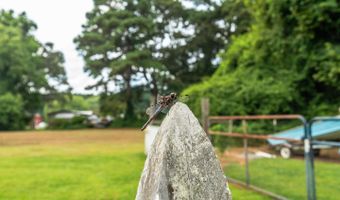 10213 GERMANTOWN Rd, Berlin, MD 21811